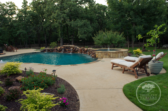 pool landscaped with a Vitex