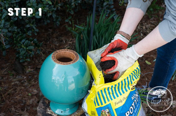 step 1 - how to plant with a down under pot