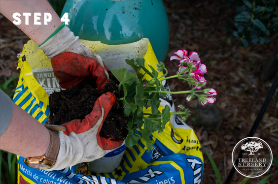 step 4- loosen the soil