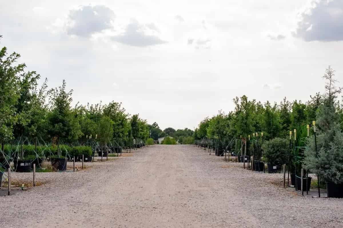 Planning Your Trip to the Farm