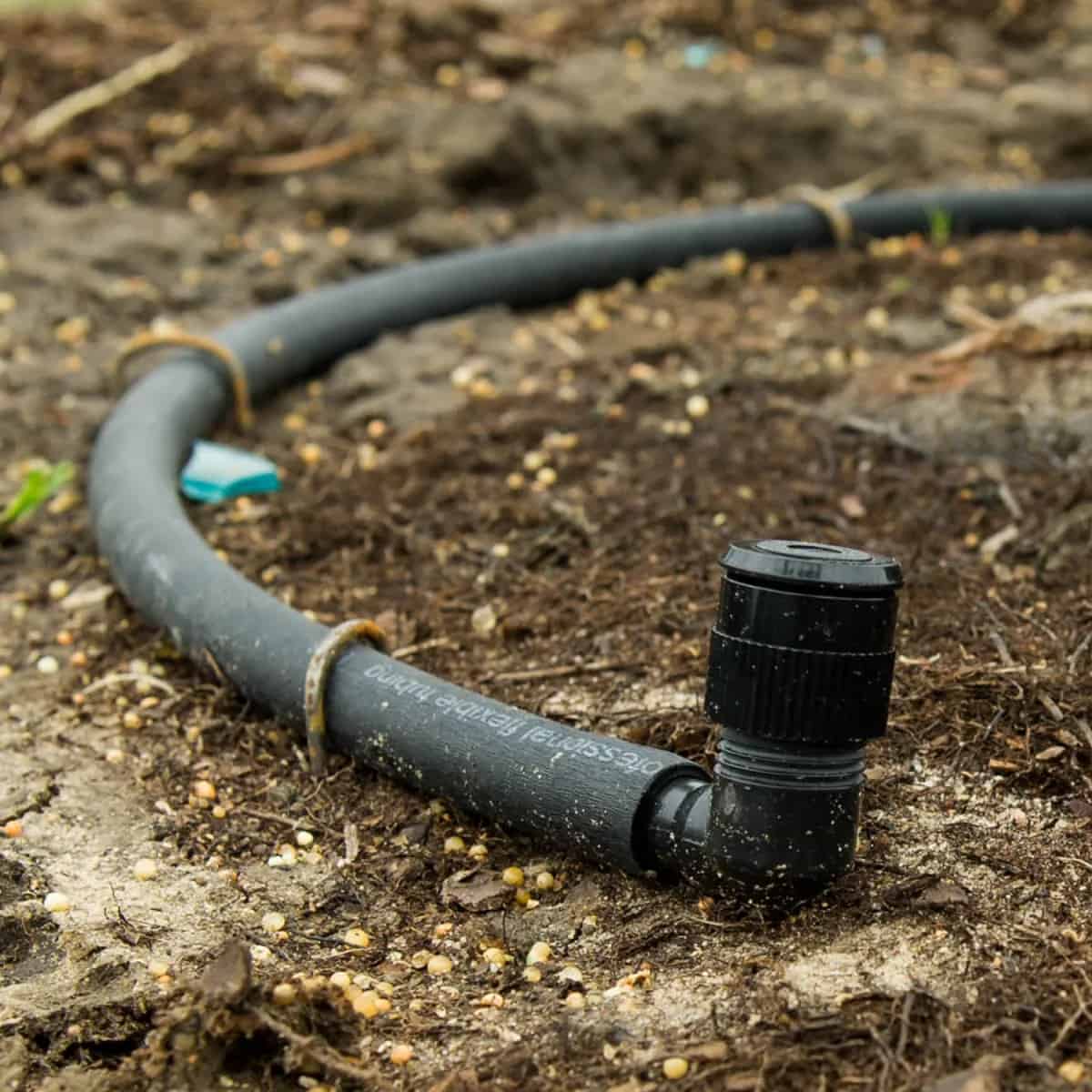 Bubblers