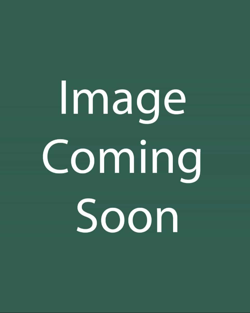 Arctic Blaze Purple Salvia