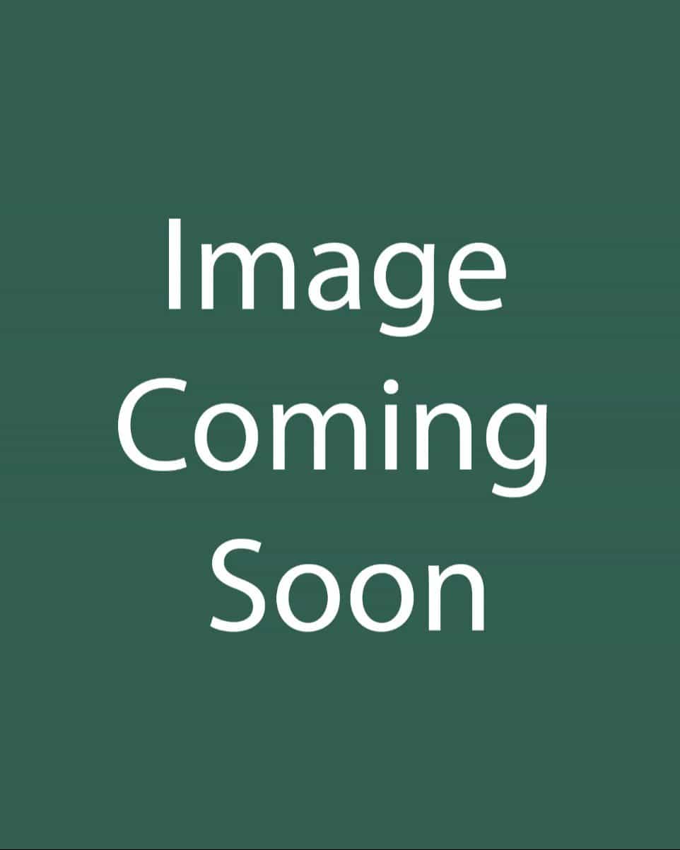 Weeping Wonder Ginkgo