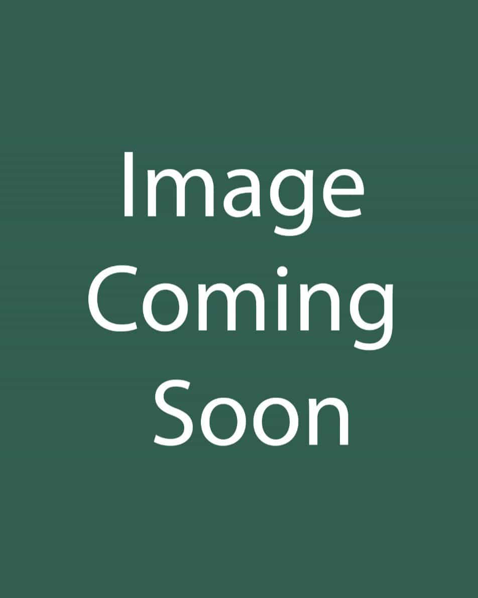 Chapel Hill Pink Huff Lantana