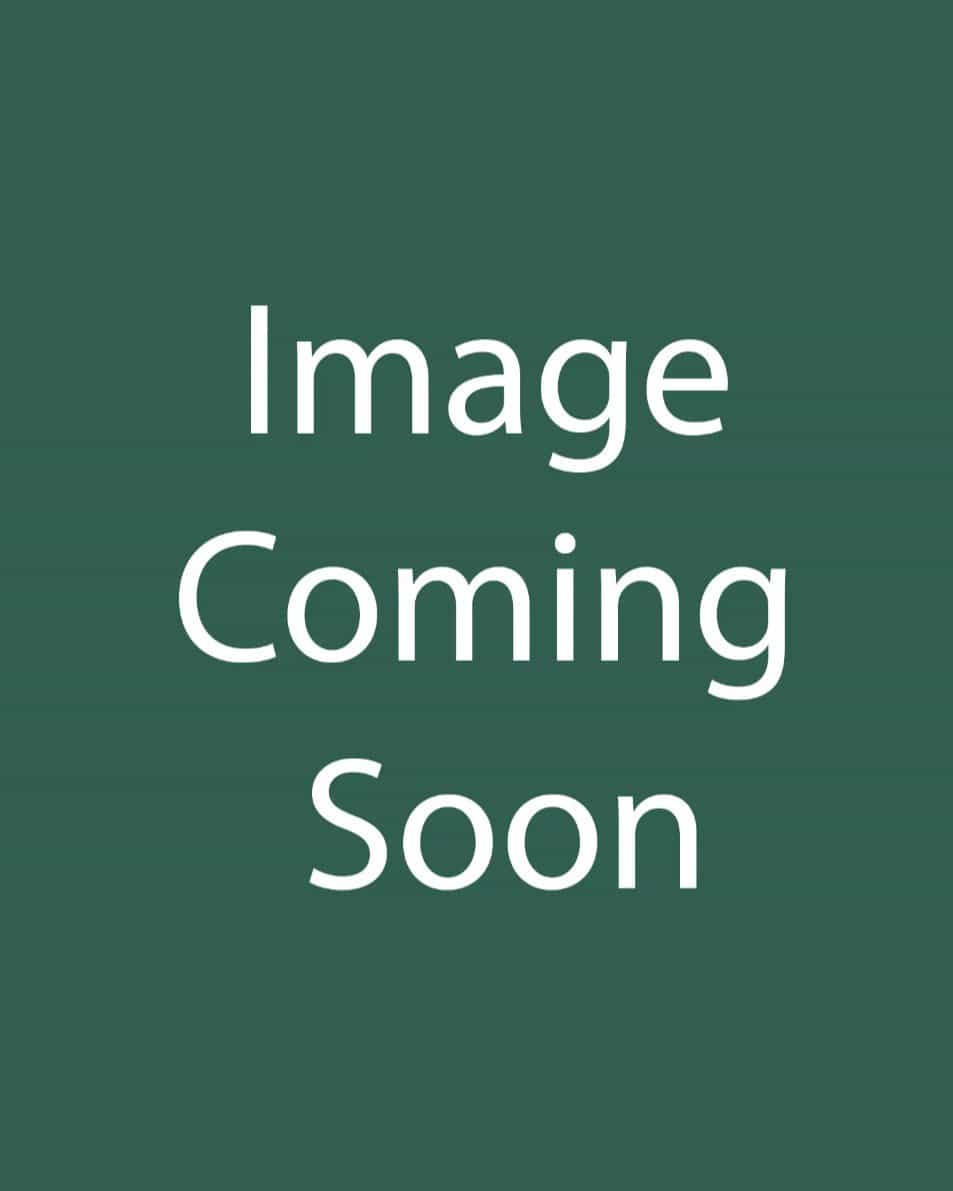 Oakleaf Hydrangea Queen of Hearts