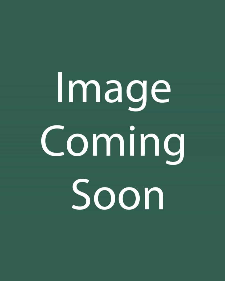 Royal Hawaiian Diamond Head Elephant Ear