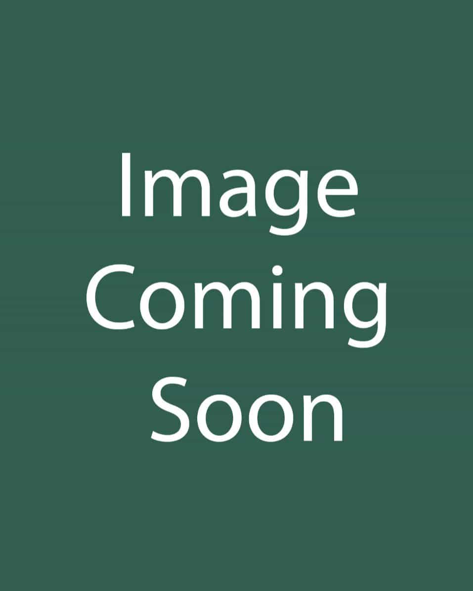 Luscious Goldengate Lantana