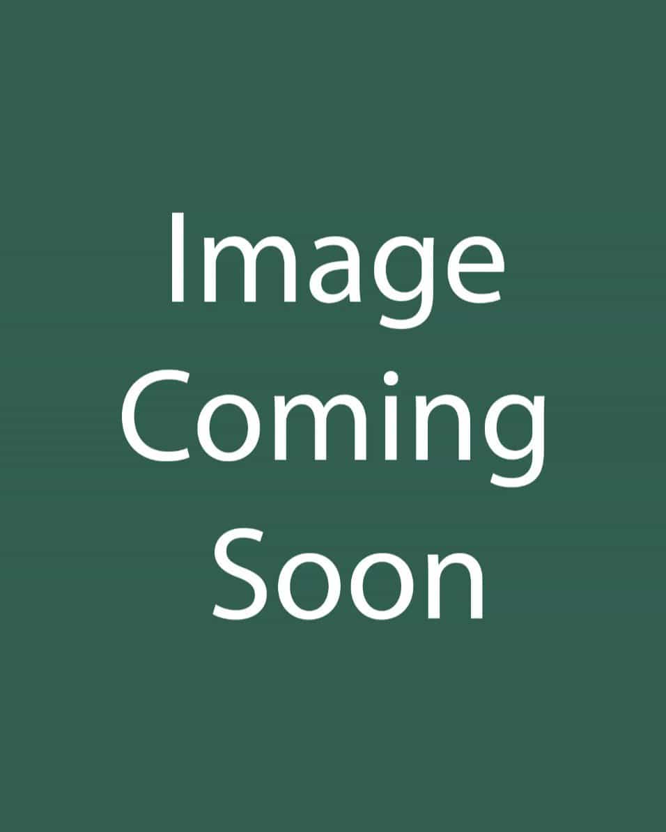 Pink Champagne Smoketree