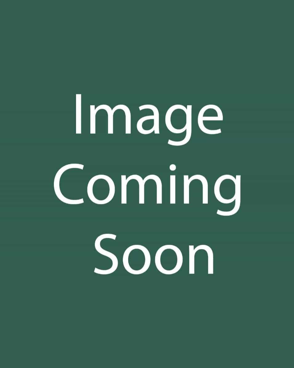 Red Pillar Althea Tree Form