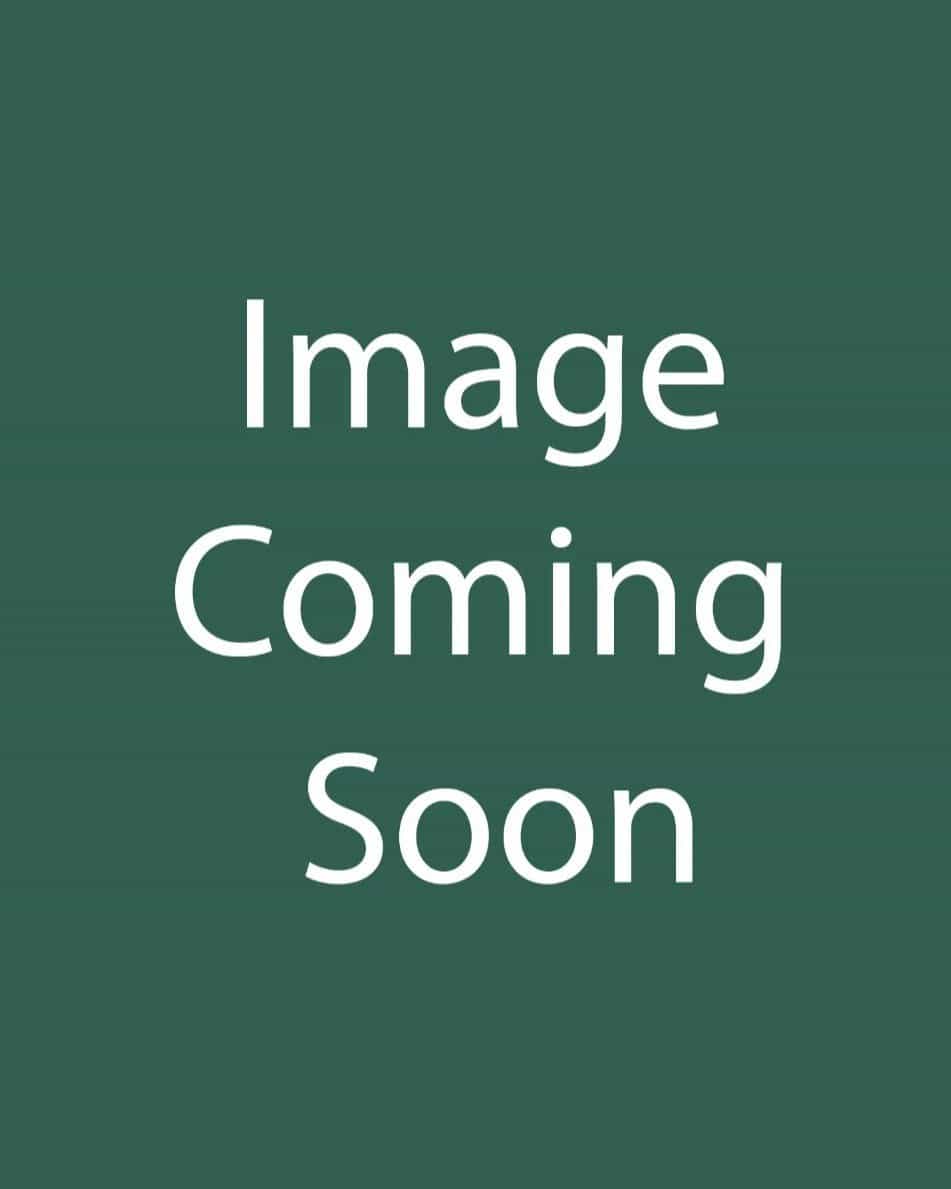 Bee-You Bee-Free Monarda