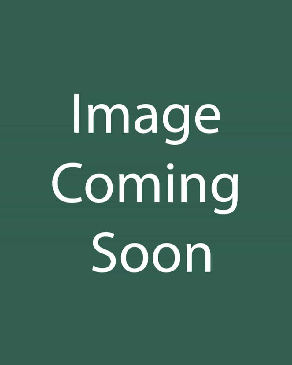 Cherokee Brave Dogwood - Main Image