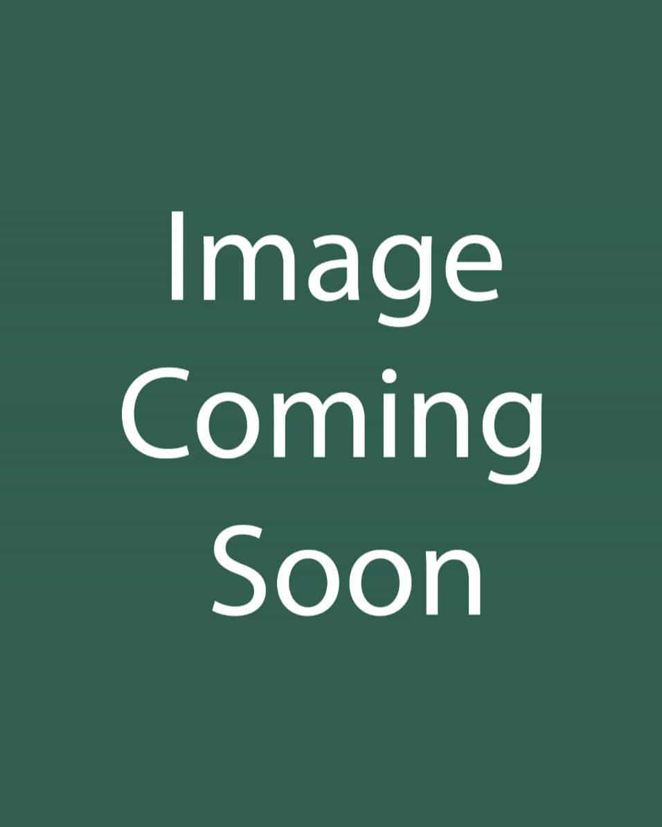 Chinese Dogwood - Main Image