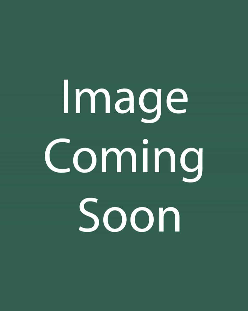 Chinese Dogwood Scarlet Fire - Main Image