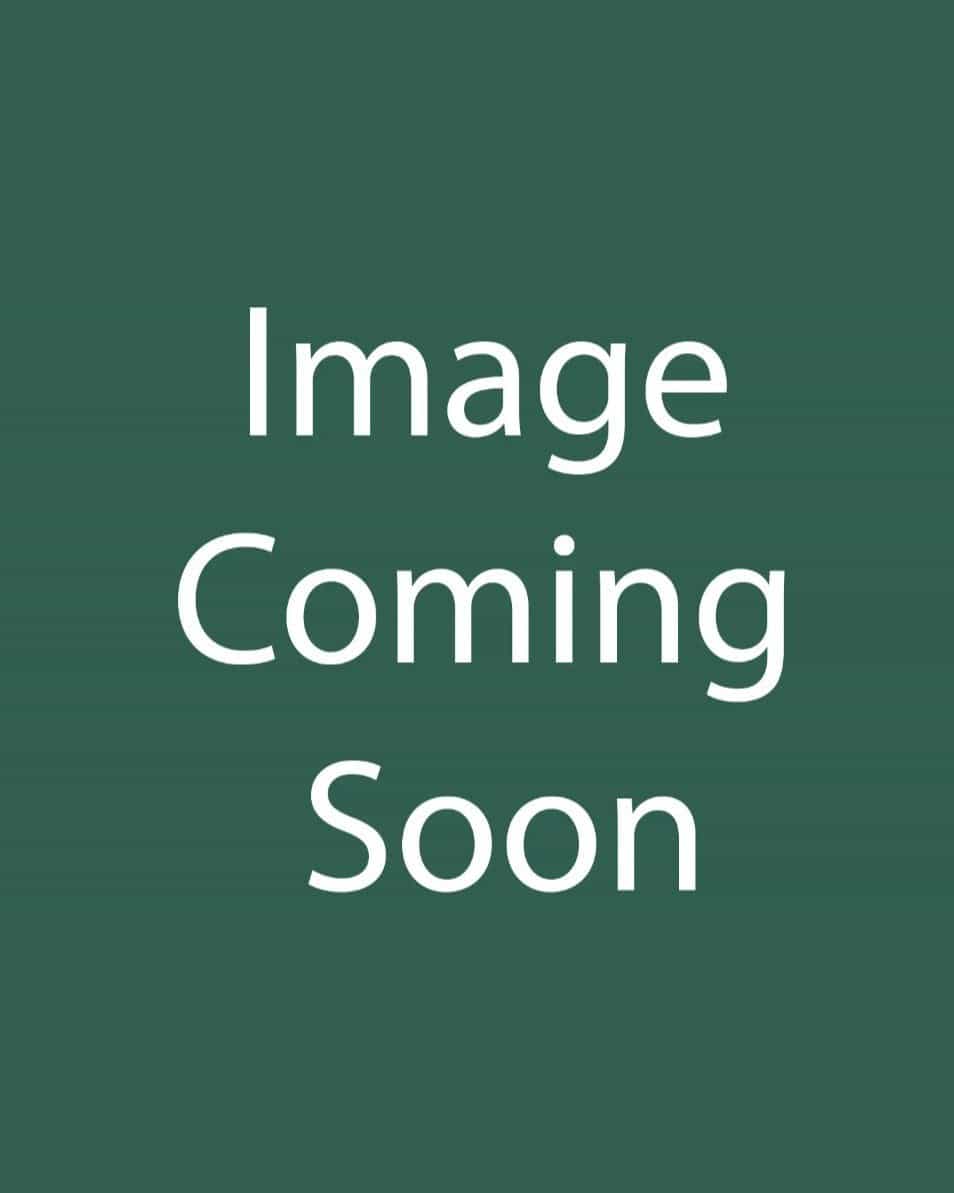 Stellar Pink Dogwood - Main Image