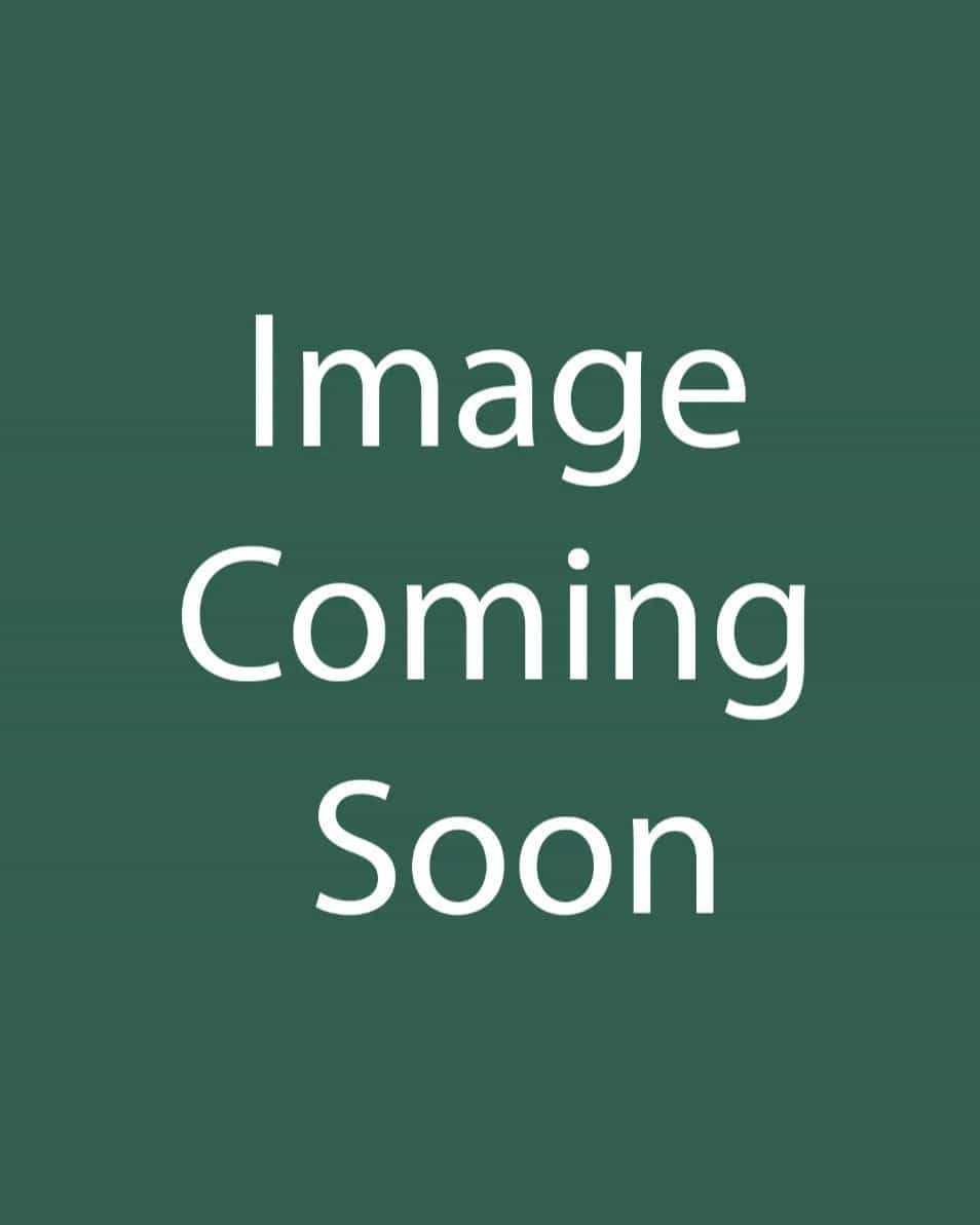 Venus Dogwood - Main Image