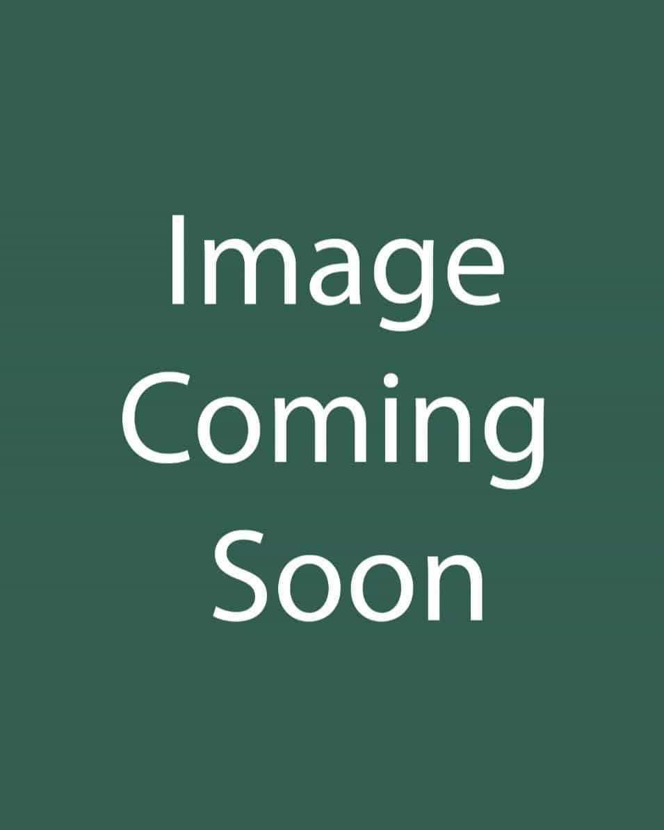 Honeymoon Rio Carnival Helleborus - Main Image