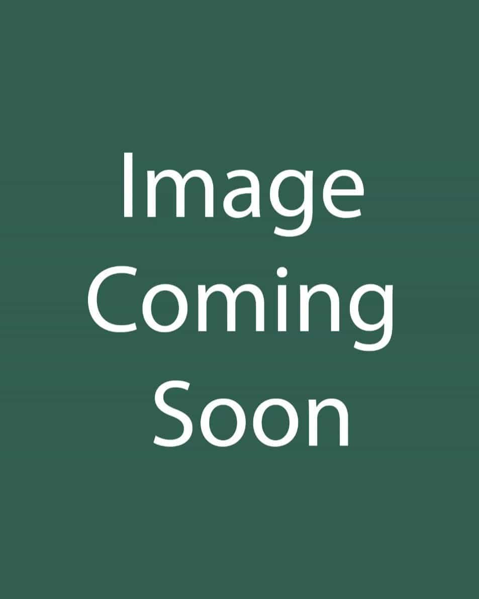 High Fragrance Camellia