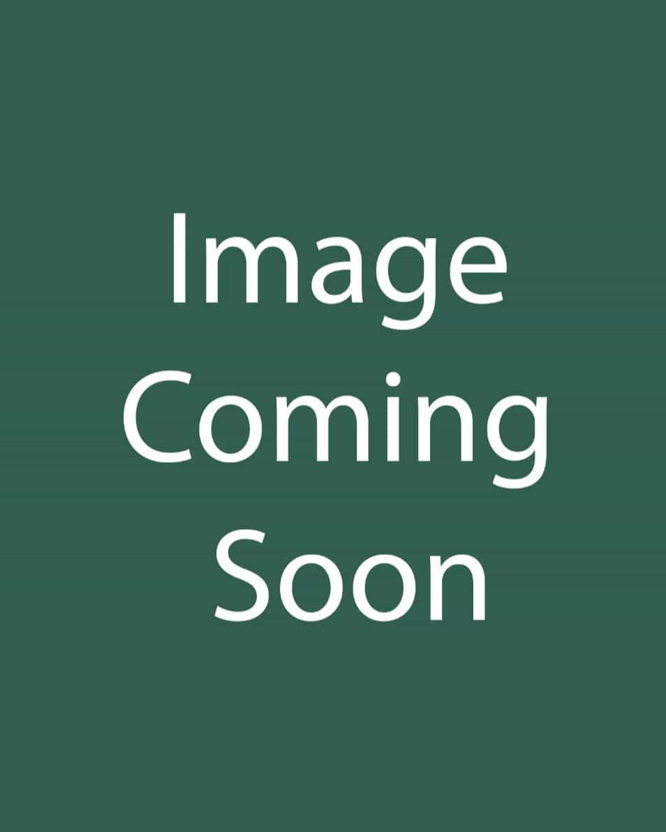 Lavender Tutu Daylily