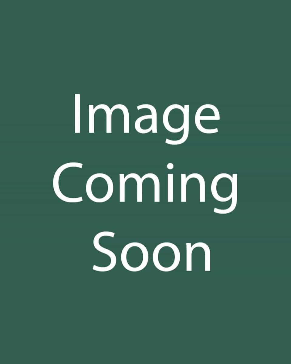 Limelight Prime Hydrangea