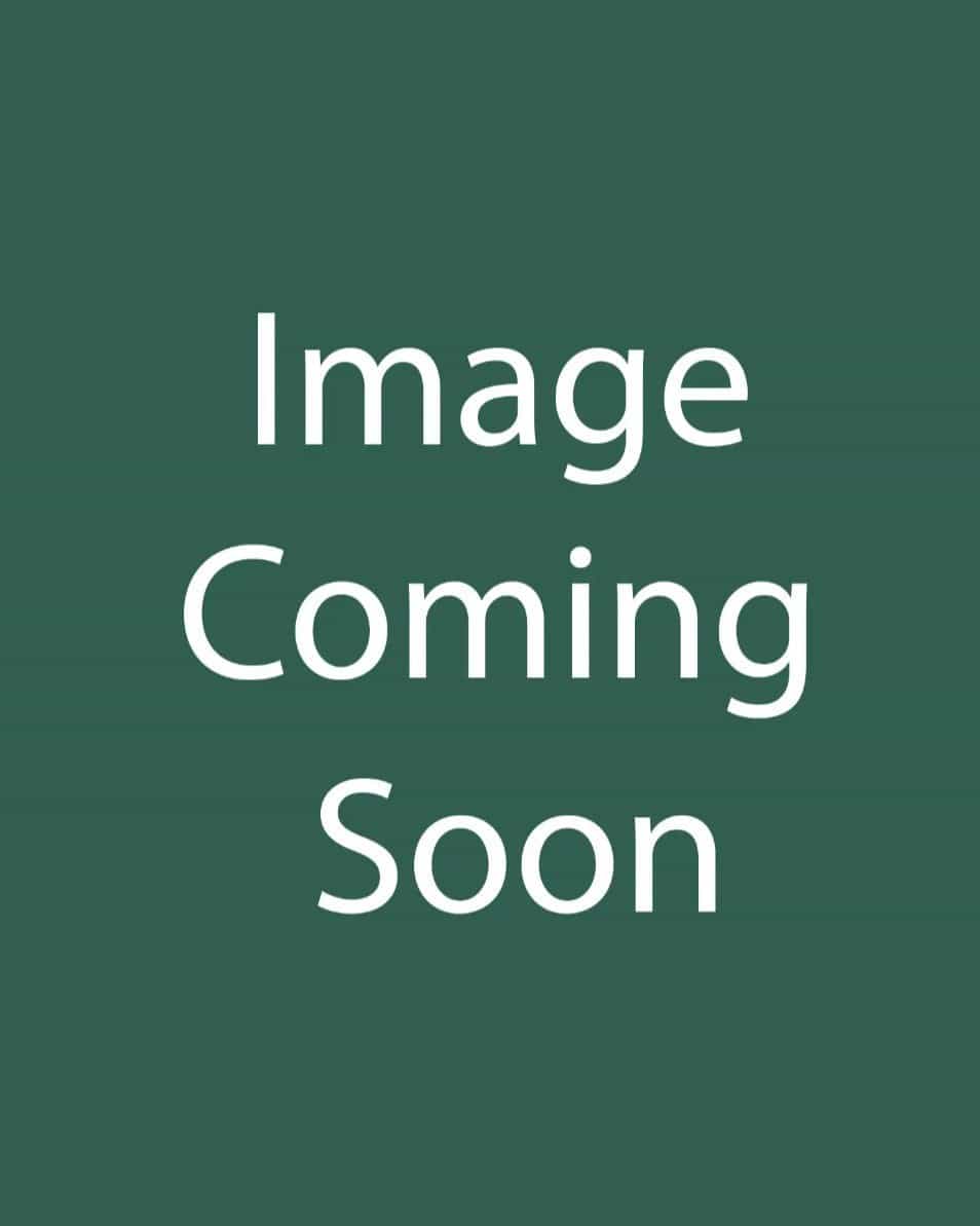 Little Business Daylily - Main Image