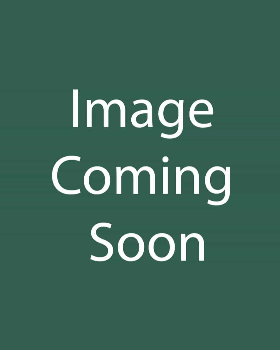 Maiden Grass Miscanthus