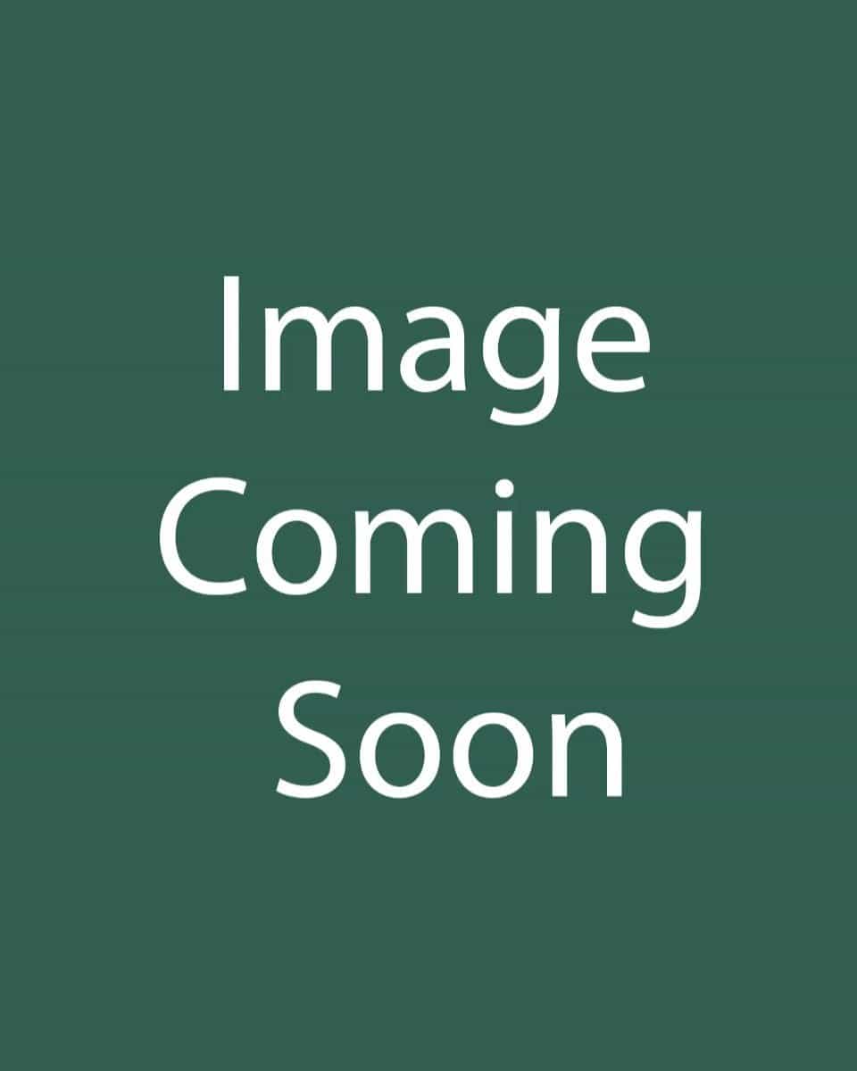 Ming Toy Daylily - Main Image