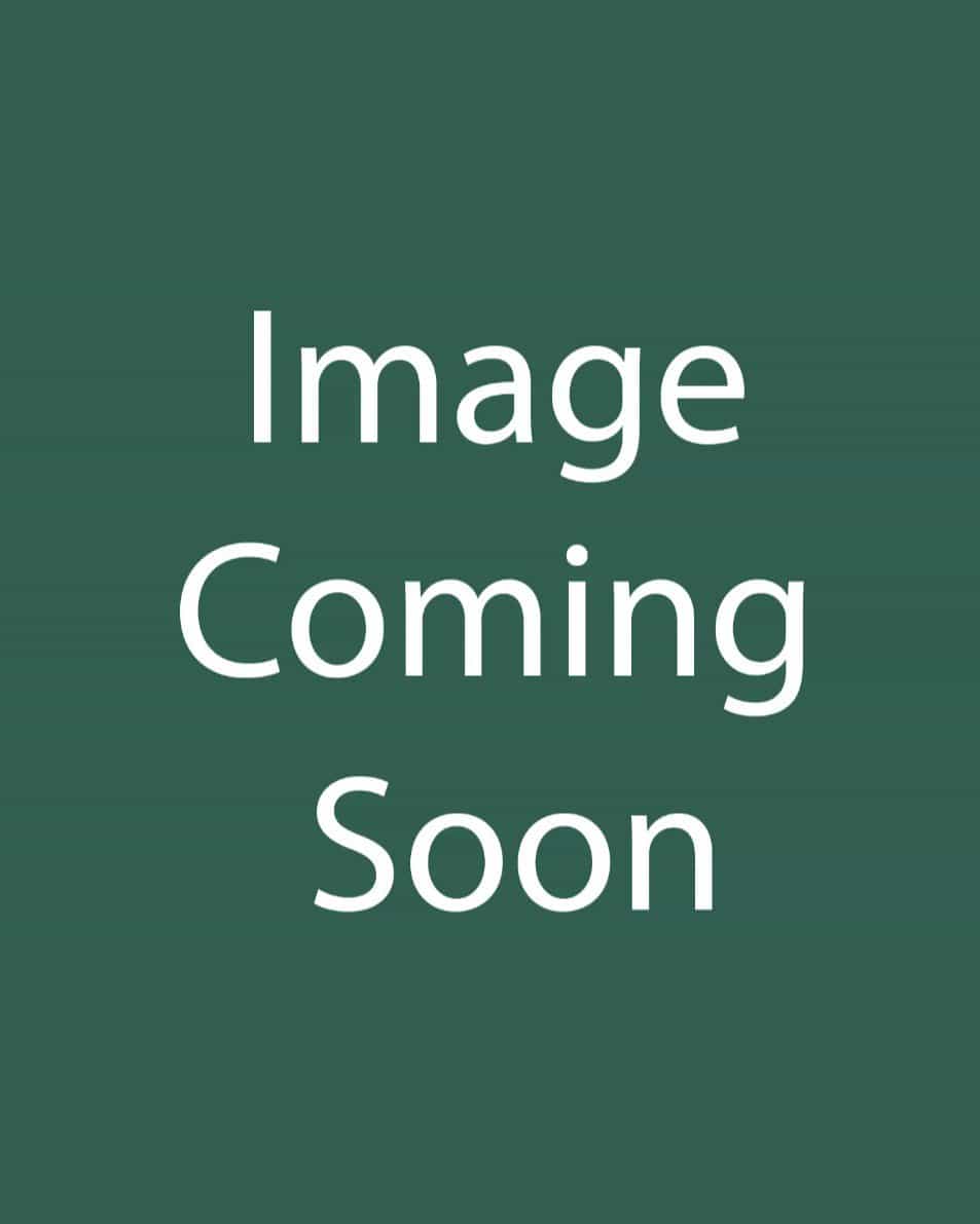 Noble Nightingale Ajuga