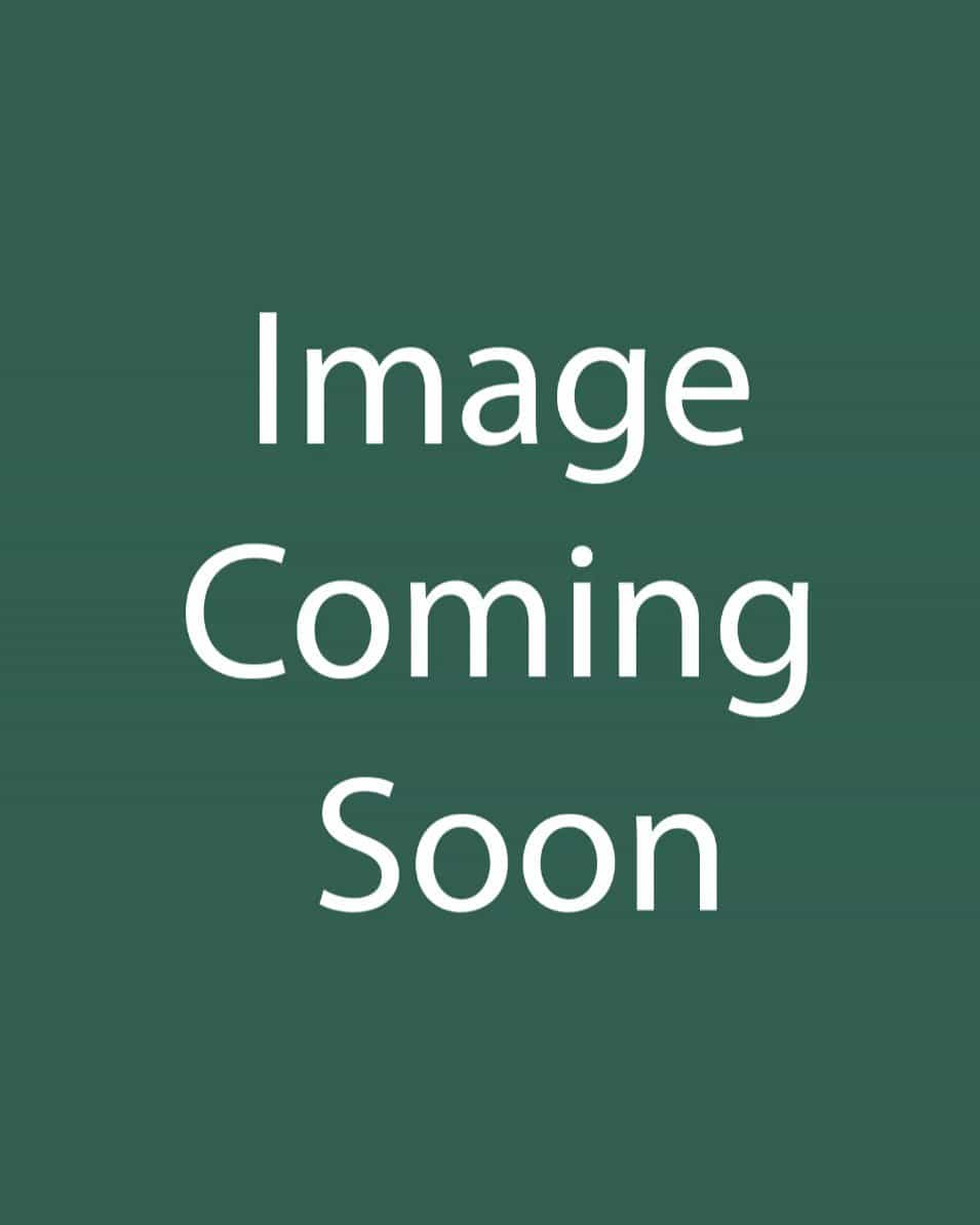 Oakleaf Hydrangea Ellen Huff