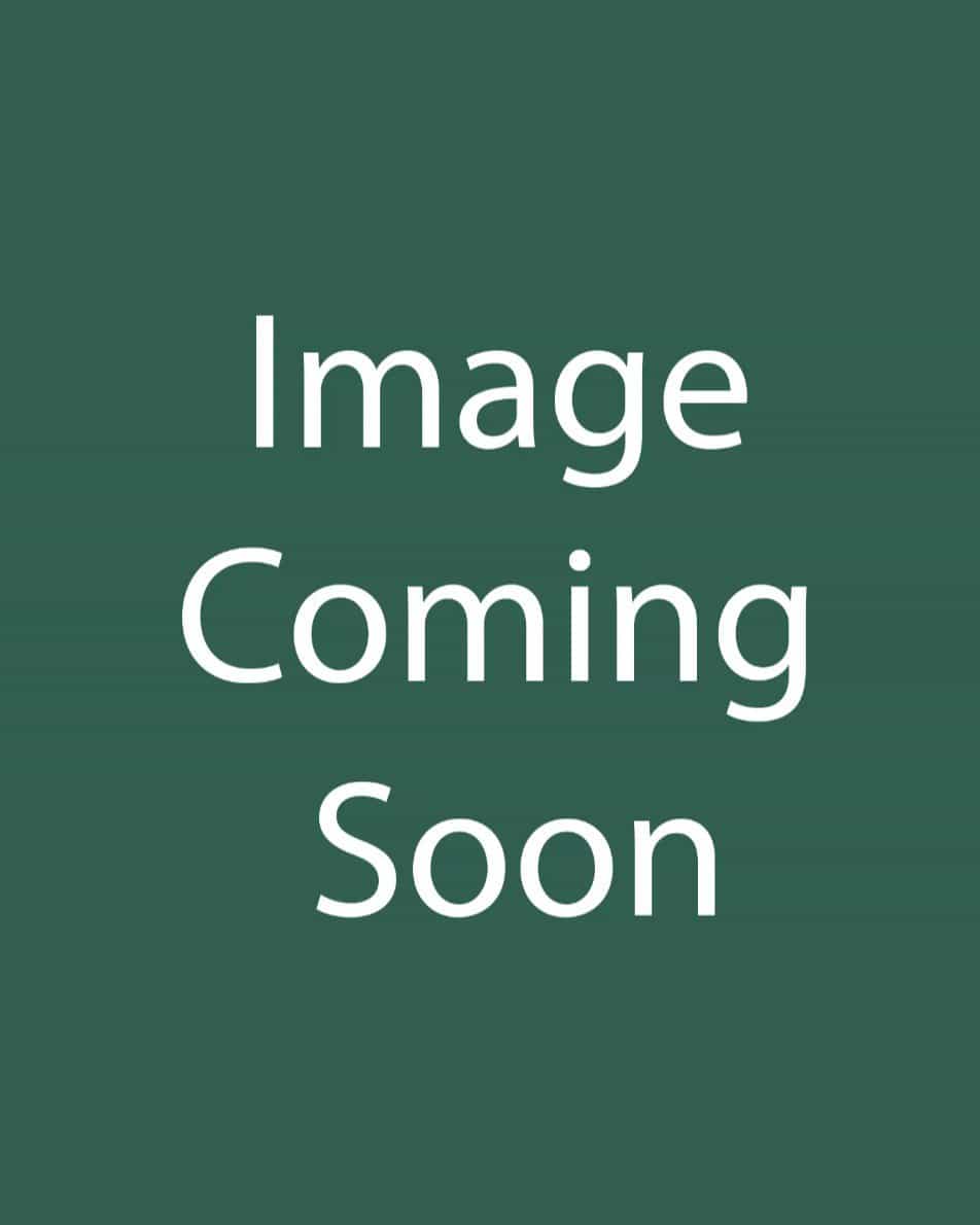 Oakleaf Hydrangea Alice