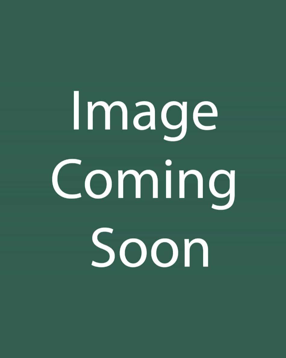 Oakleaf Hydrangea Jetstream