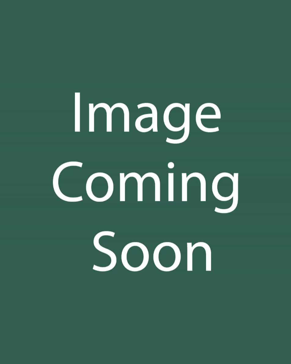 Oso Easy Ice Bay Rose