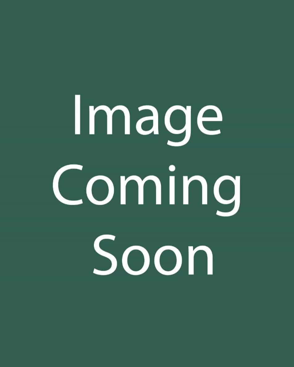 Six Hills Giant Catmint