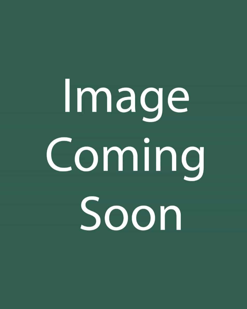 Sweet Autumn Clematis