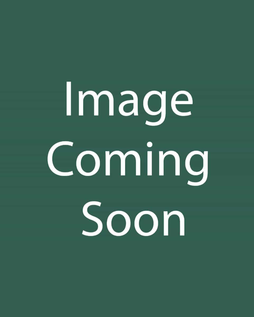 Green Mountain Boxwood Spiral