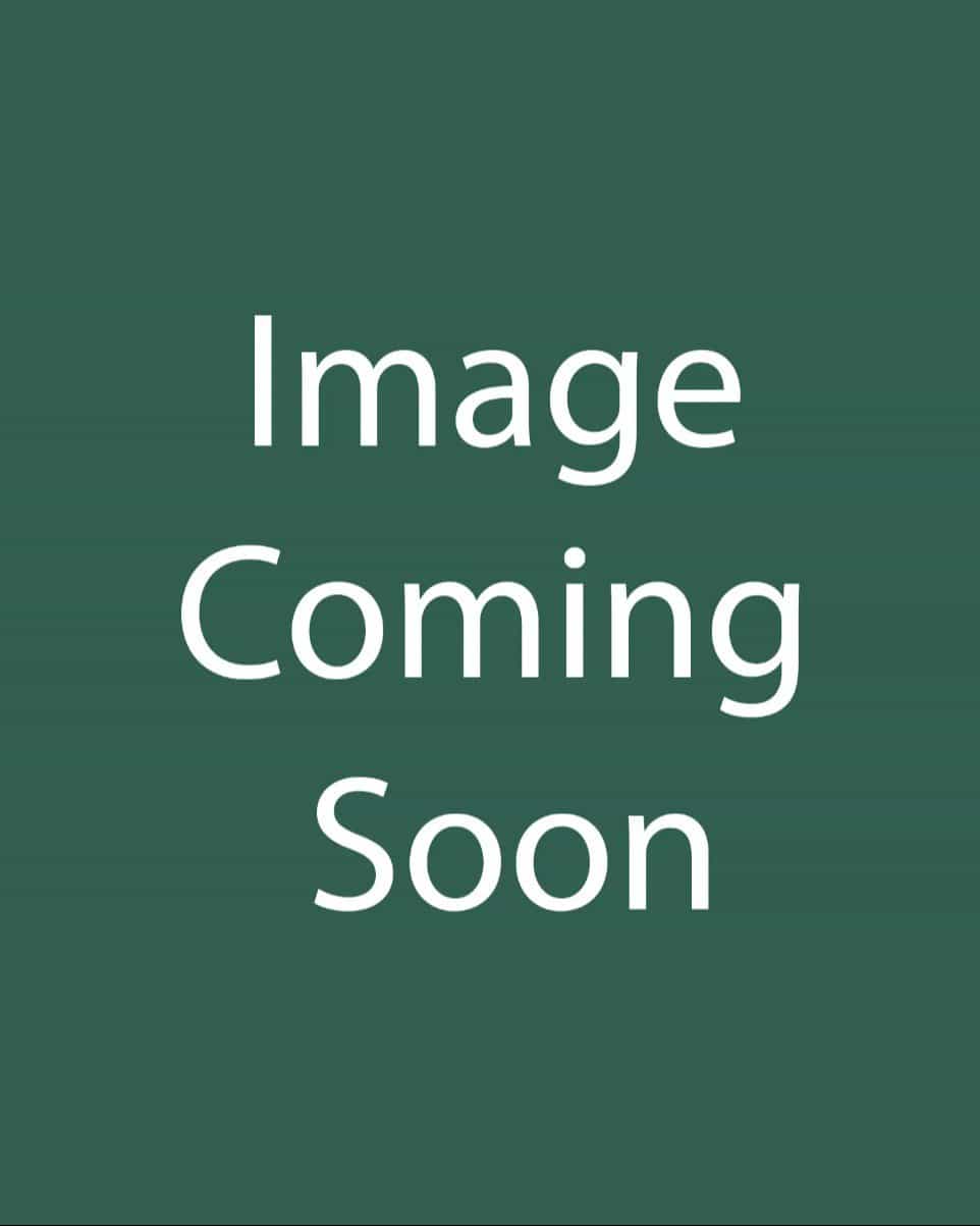 Dwarf Korean Lilac Tree Form