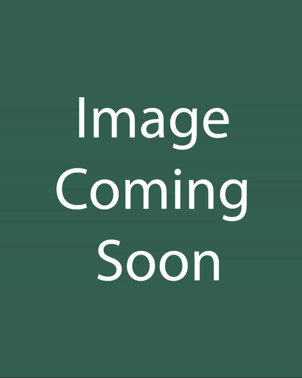 Miss Kim Korean Lilac Tree Form