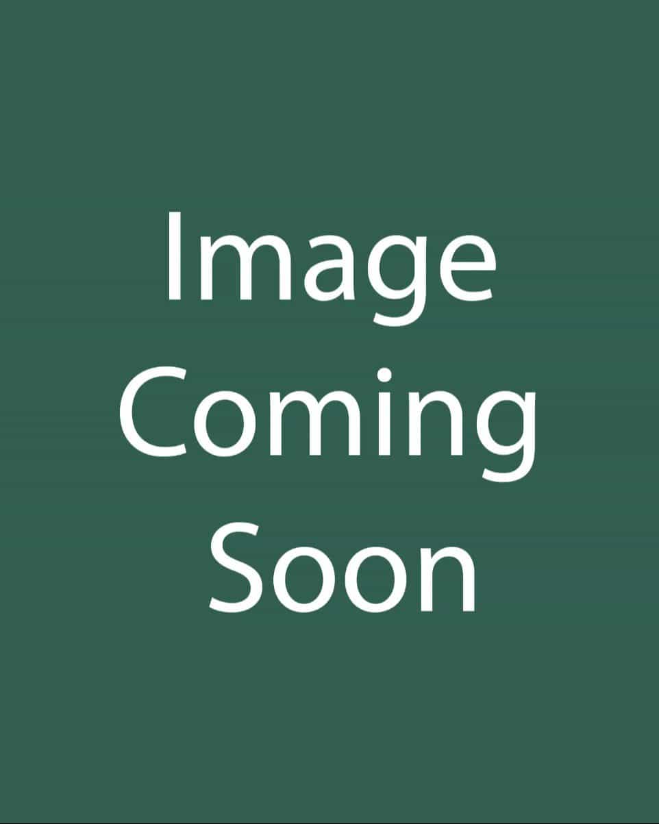 Scent First Sugar Plum Dianthus