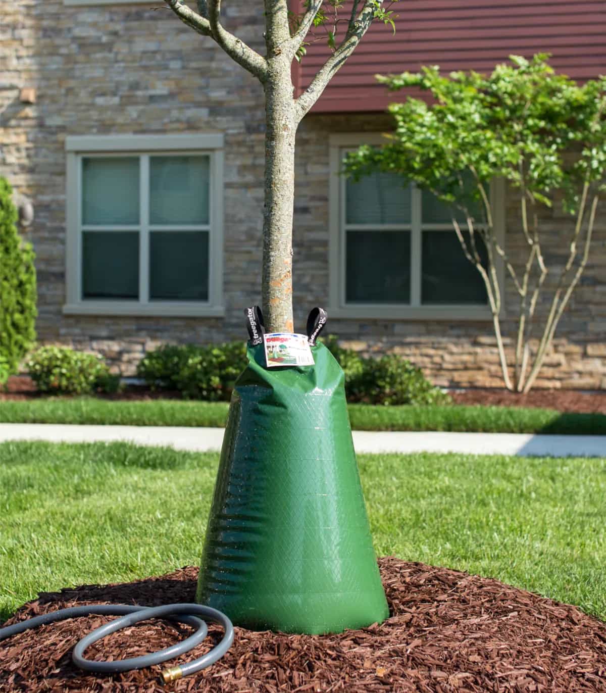 Tree Gator Watering Bags