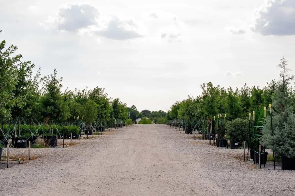 Planning Your Trip to the Farm