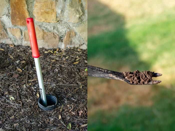 Watering Guide