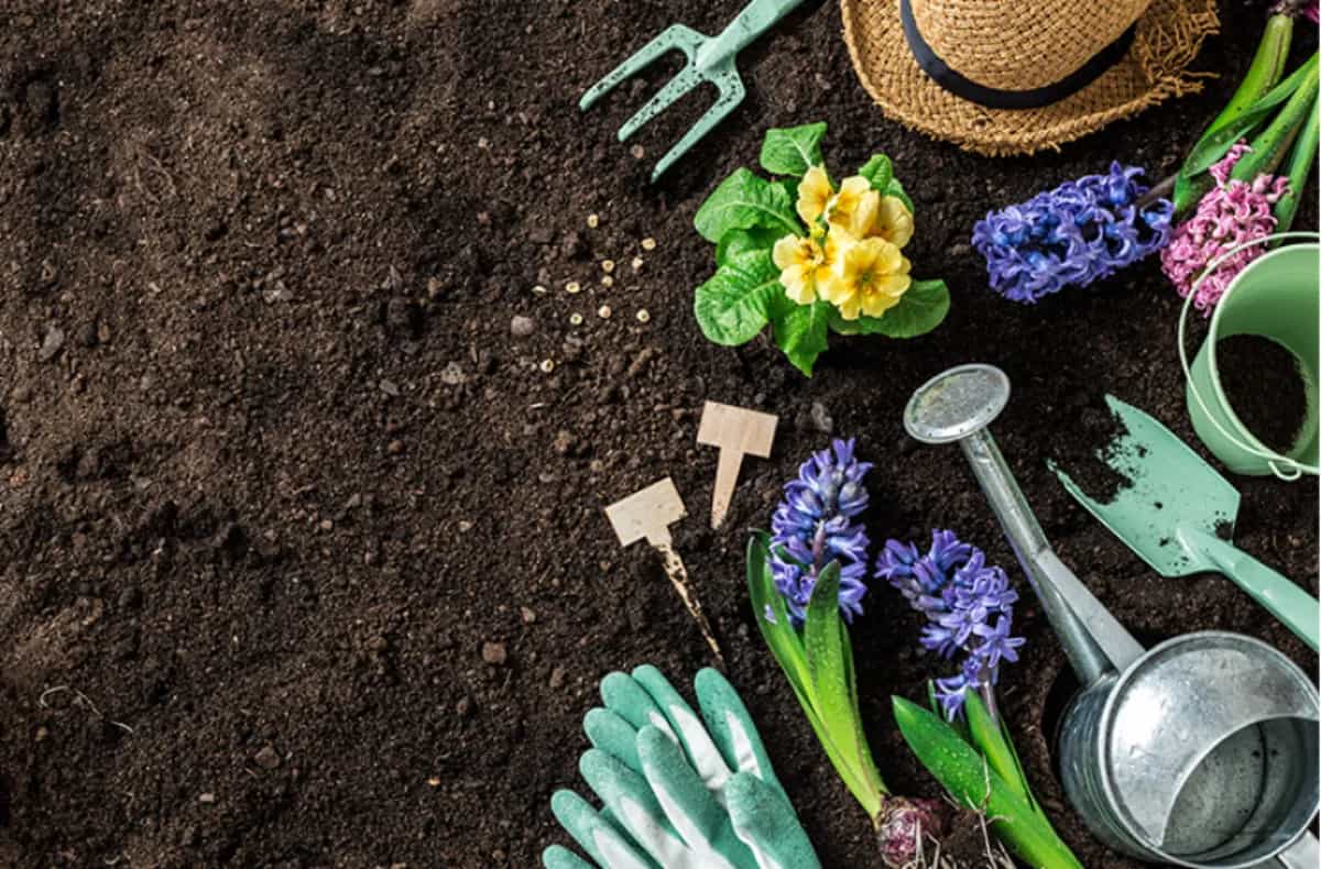 Spring Gardening Essentials: Top Picks From Our Greenhouse
