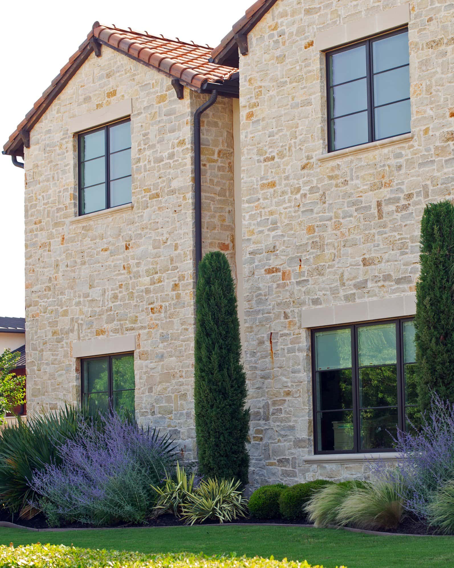 Eastern Red Cedar Taylor - Image 3