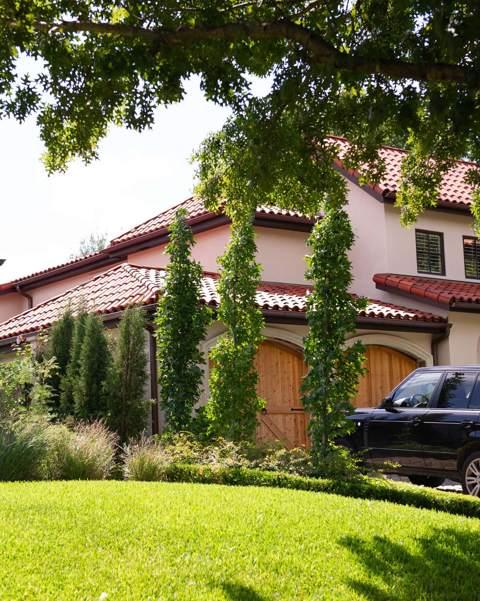 Slender Silhouette Sweet Gum - Image 3