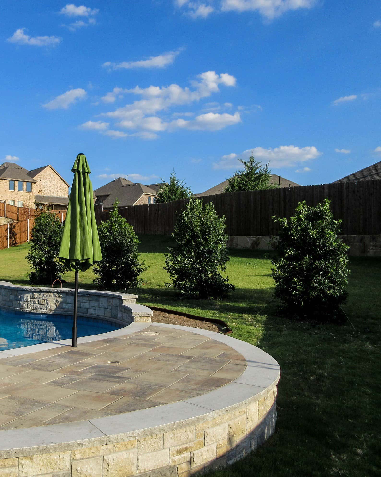 Nellie R Stevens Holly - Image 7