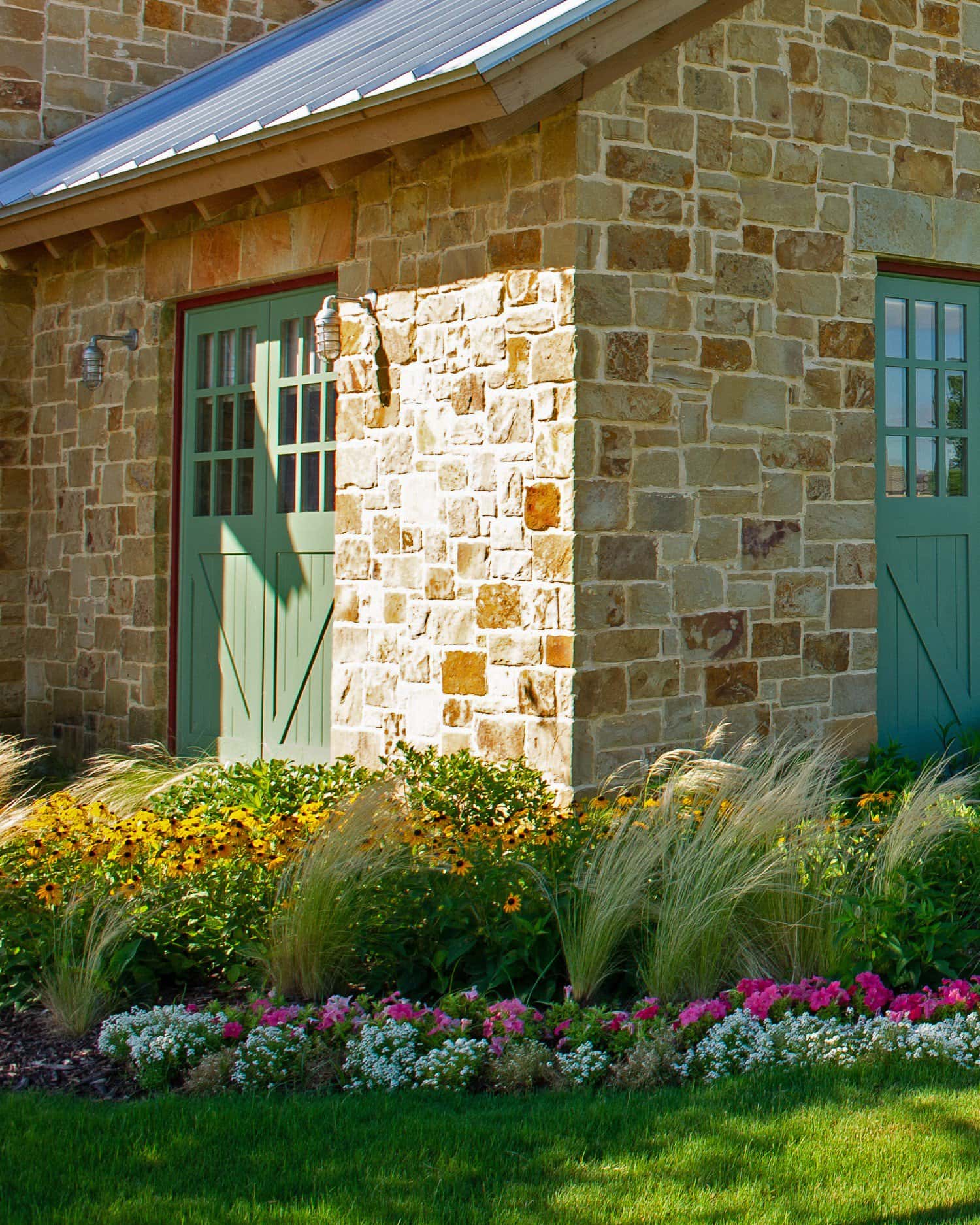 Black-eyed Susan Rudbeckia Goldsturm - Image 5
