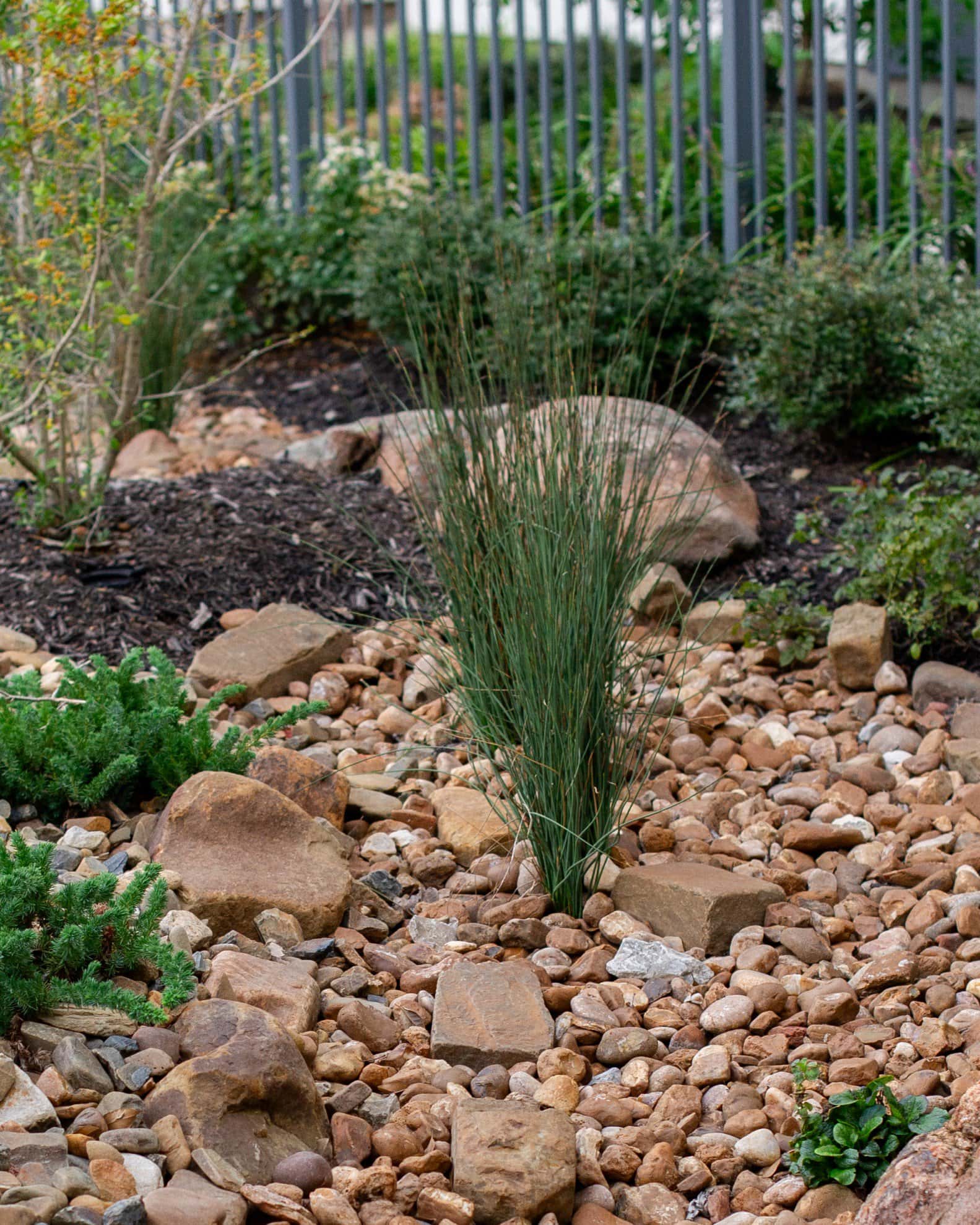 Blue Arrows Rush - Image 1