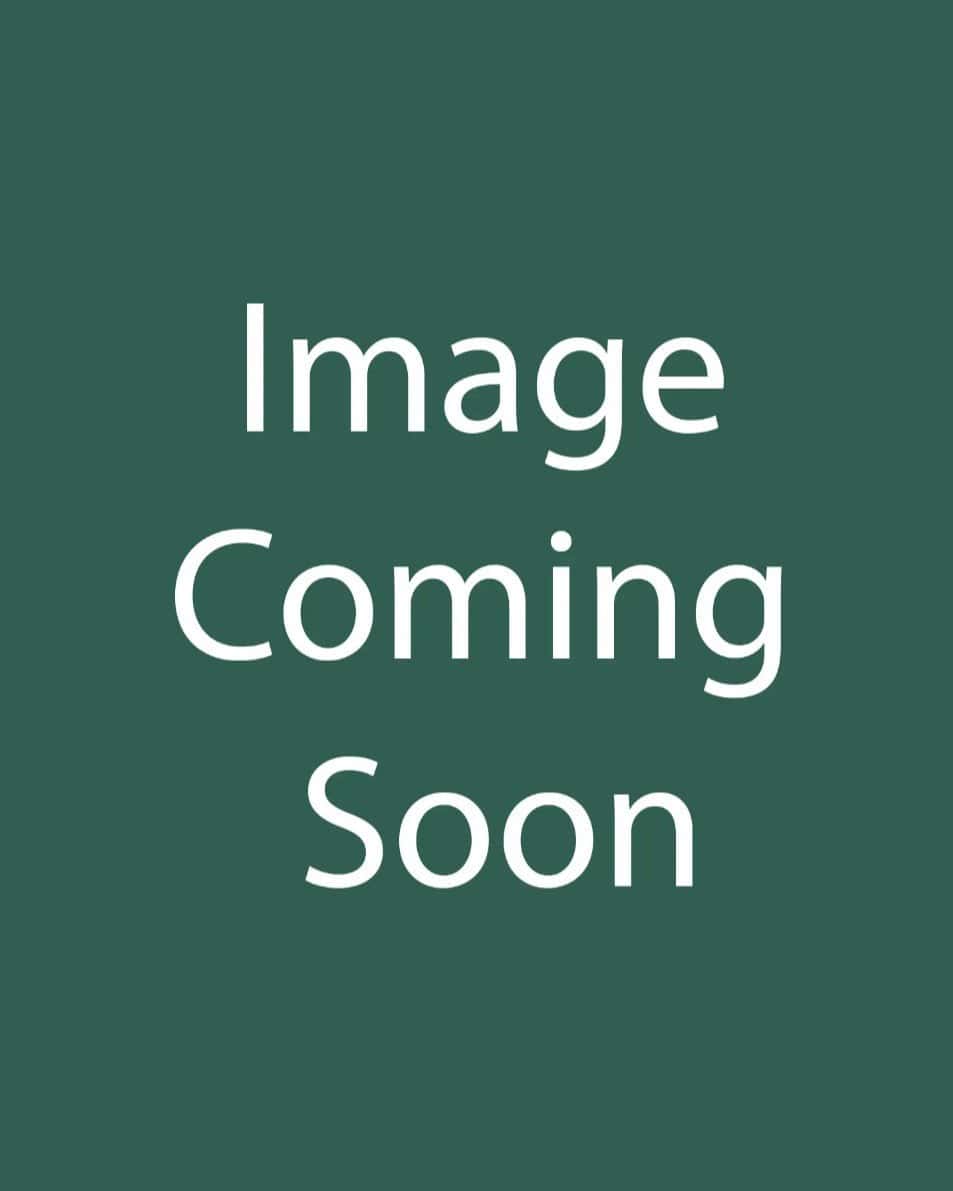 Nova Pearl Penstemon - Main Image