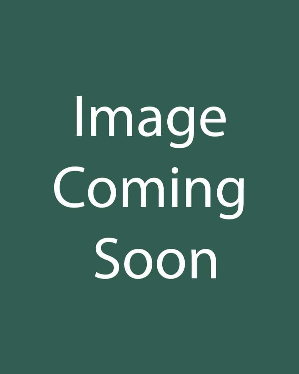 Orange Zest Cestrum - Main Image