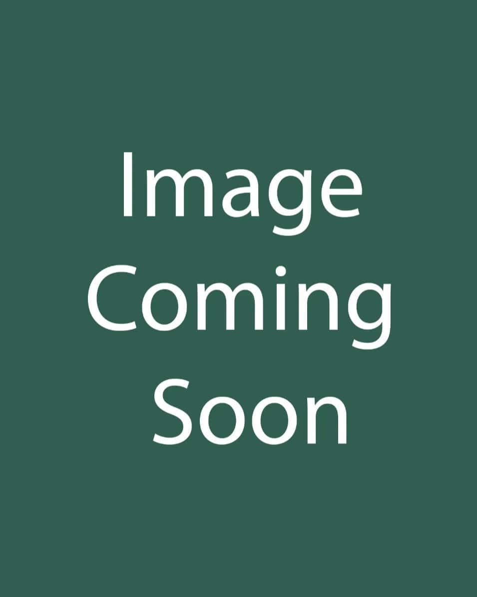 Passionate Rainbow Gaura - Main Image