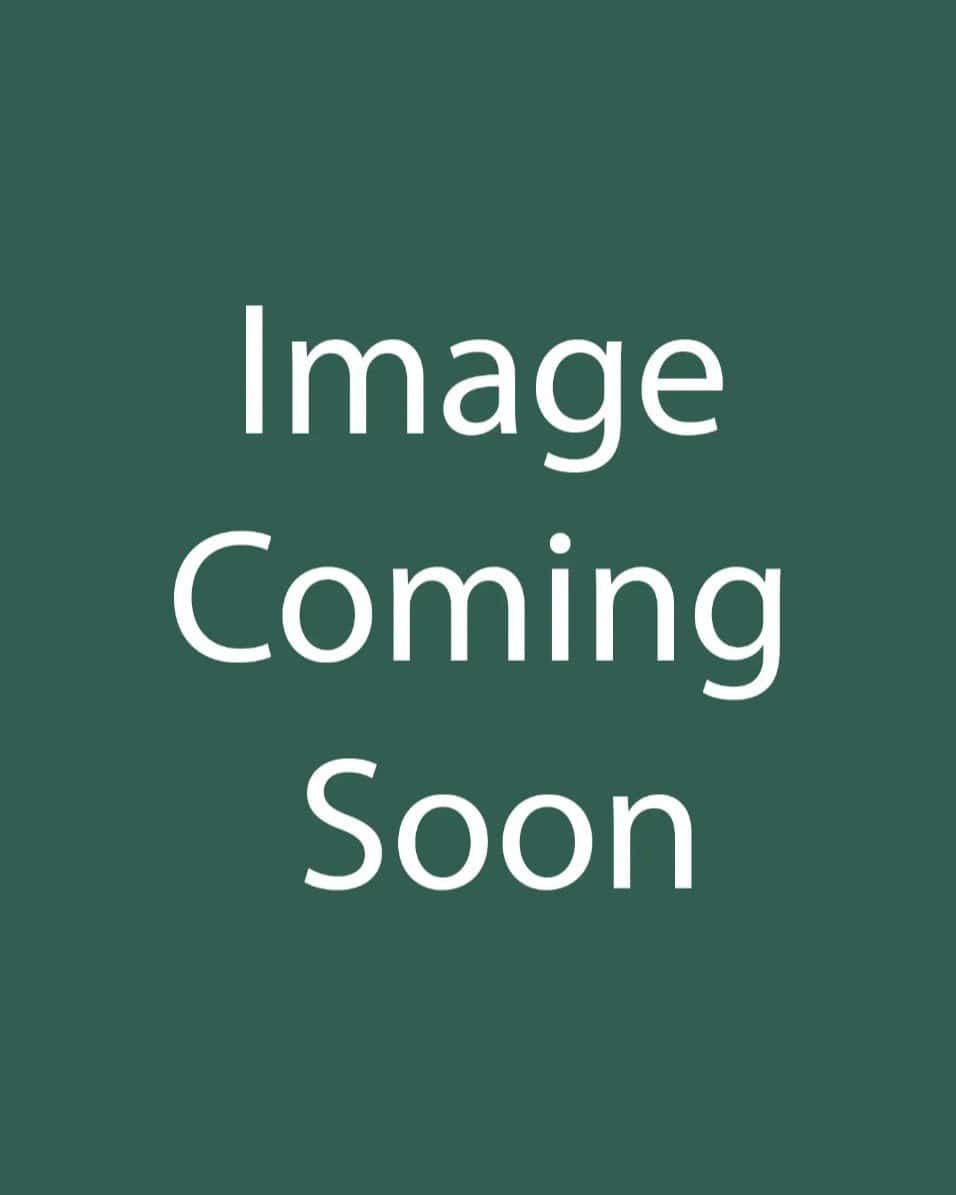 Vision in Red Astilbe - Main Image